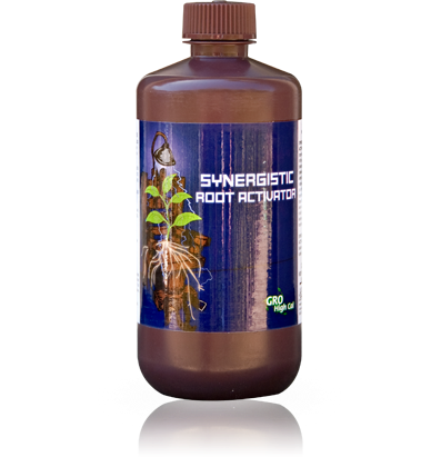 Synergistic Root